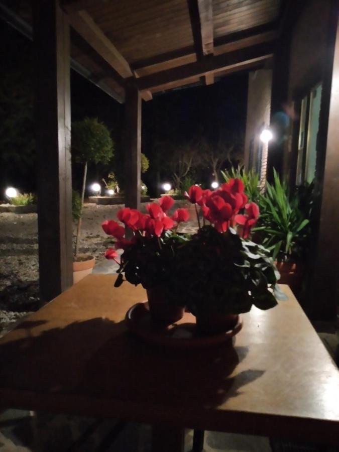 Hotel B&B Resort Fonte La Castellana Sarnano Ngoại thất bức ảnh